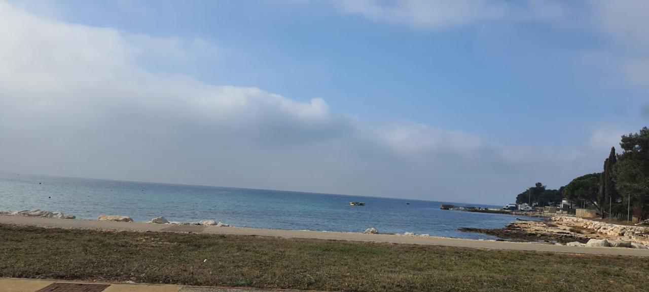 Donella *