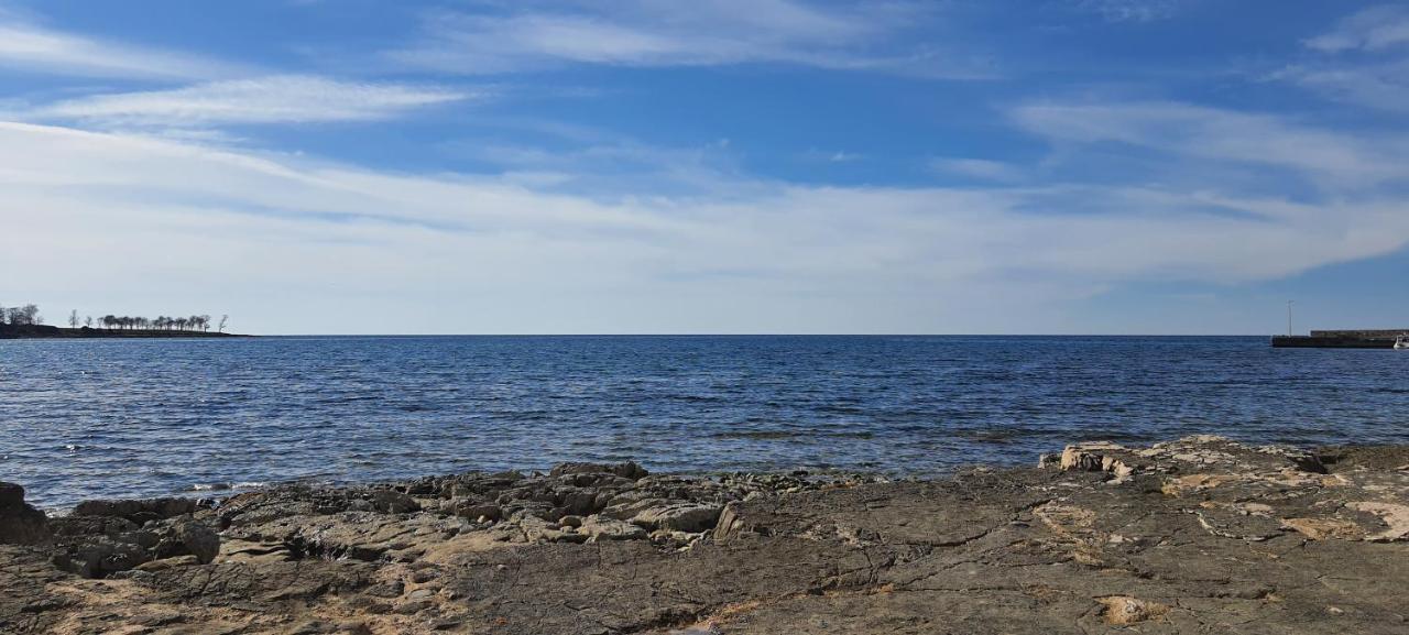 Donella * Umag