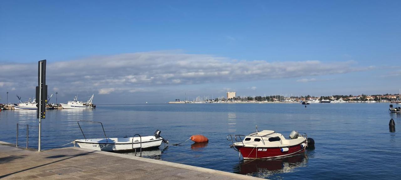 Apartment Donella Umag